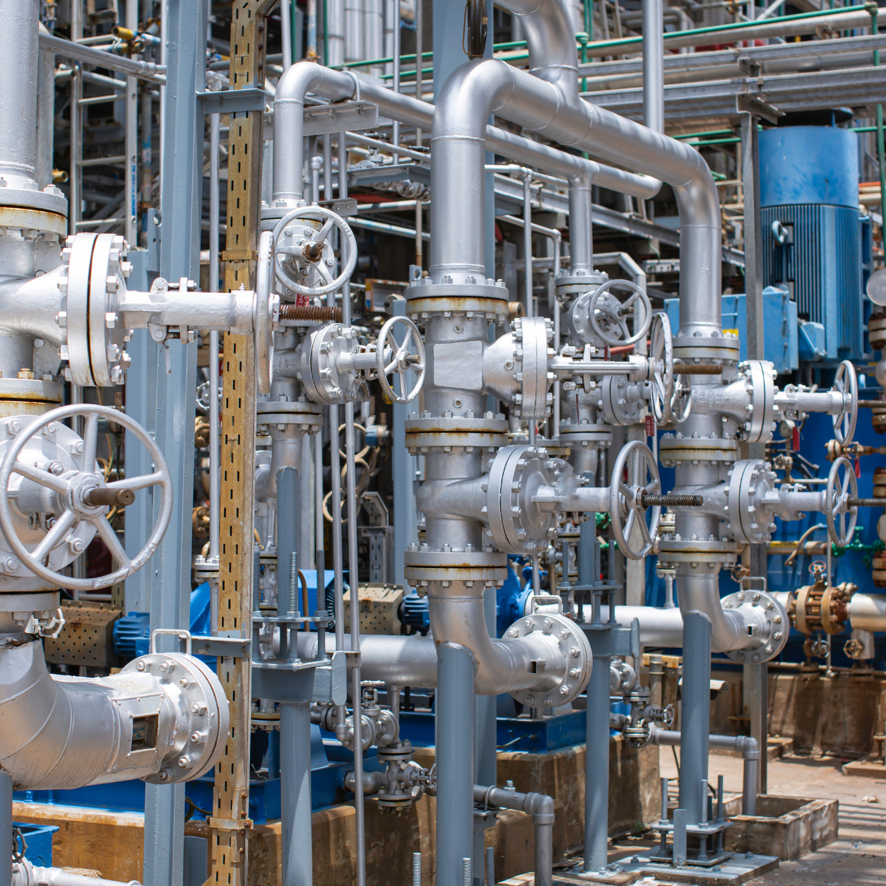 تصميم بدون عنوان (56)